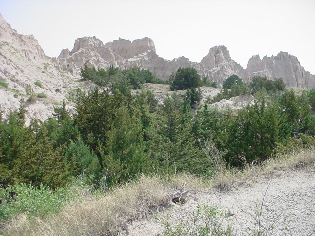 MVC-016F.JPG